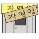 네이버미용실