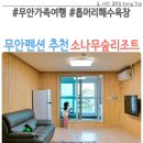 소나무 숲 리조트 | 전남 무안 펜션 추천 소나무숲펜션리조트