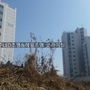 성화조명