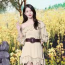 예쁨 이미지