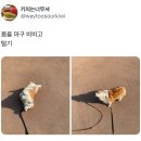 에고
