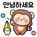 국수나무충남