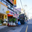 한라빙삼 이미지