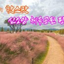 신소양체육공원 티스토리