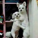 더플레이 - 부천시 원미구 원미로13번길 35 | 체험형 연극 인사이드 더 플레이 : 군체 후기