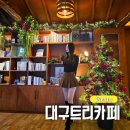 대구 대봉동 크리스마스 트리 카페 아늑한 감성 캣냅
