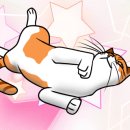 다몽그루밍 네이버블로그