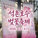 [신규]하모니카 | 오피셜 송파구민이 알려주는 2026년 석촌호수 벚꽃축제 일정 매화 실시간 개화 현황