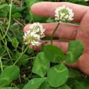 무한천농장 이미지