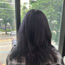 보라헤어살롱 이미지