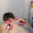 부산한의원 - 동대문구 왕산로 123 | 부산한의원