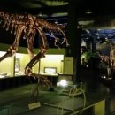 미호박물관 이미지