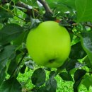 박태호농장 이미지