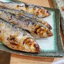 회광어9900 이미지