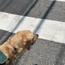 CU성북점 이미지