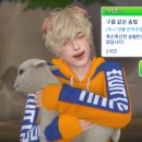보리목장 Daum카페