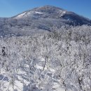 541차 2020년 신년산행 덕유산 향적봉(1614m)산행&좌석표 이미지