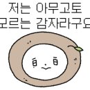 에프엠1차 이미지