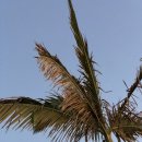 두진농장 이미지