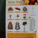 사랑꽃화원 이미지