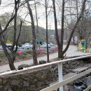 아르페지오 | 남양주 아르페지오 :애견 동반 식당 후기