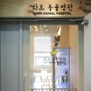 감자동물병원 이미지