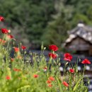 김명관 고택 이미지