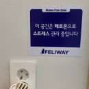 낭만고양이병원 이미지