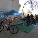 어등대교(거점터미널) 이미지