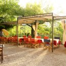 전원의 낭만 이미지