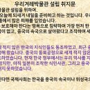 인하대학교박물관 이미지