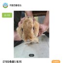 증평가정견훈련소 네이버블로그