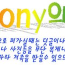 천조식품 이미지