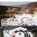 베어스타운리조트 이미지