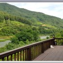 반딧불이민박 이미지