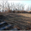 대운산자연휴양림 이미지