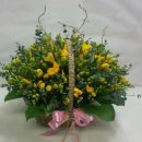 테크노 꽃나라 이미지