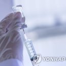 381 이미지