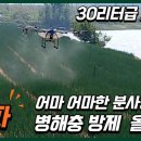 주식회사 에이에프아이 | 대파에 농업용드론 AF32를 활용하여 병해충을 방제하는 영상입니다. 강력한 분사량을 자랑하는 AFi 농업...