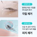 쪼꼬네유치원2 | 블프세일 에슬 센텔라 포어리스 패치 나비존 모공 관리법 솔직후기