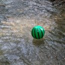 대장동 성흥2교 이미지