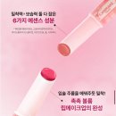 디자인푸루다