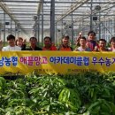 영광육성농장 동행미디어 시대