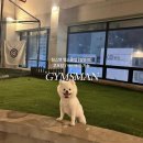 짐스맨헬스클럽 네이버블로그