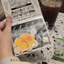 요즘 일상