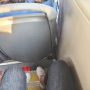 올래퍼피 네이버블로그