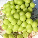 유창농장 이미지