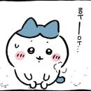 🇨🇦 캐나다 워홀 택스리펀 1년 걸린 후기