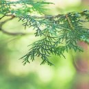 호랑산 둘레길 이미지