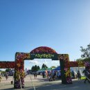 강변 스크린 | 제22회 사상강변축제 다녀온 후기